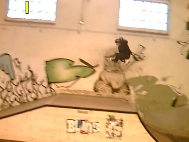 moi en rollo